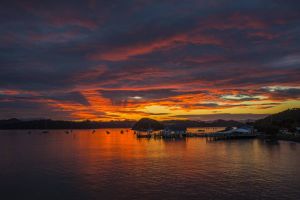 Sunrise over Paihia