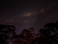 Milkyway in the Bush