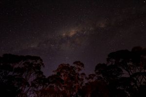 Milkyway in the Bush