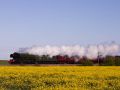 The Flying Scotsman