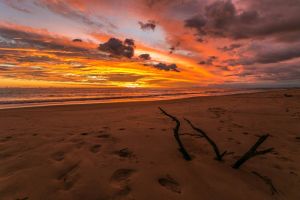 West Coast Sunset