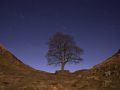 Sycamore Gap Startrails