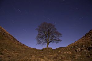 Sycamore Gap Startrails