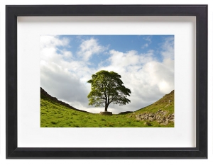 james_ratliff_sycamore-gap-prints_black-frame