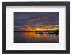 jamesratliff-uk-redwoods-bayofislands-black-frame
