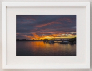 jamesratliff-uk-redwoods-bayofislands-white-frame